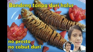 Ikan Badeng Tanpa Duri Halus [upl. by Gerek626]