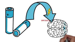 Physiological psychology [upl. by Sesylu]