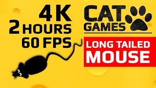 CAT GAMES  🐭 LONG TAILED MOUSE ENTERTAINMENT VIDEO FOR CATS TO WATCH 4K 60FPS 2 HOURS [upl. by Arretnahs216]