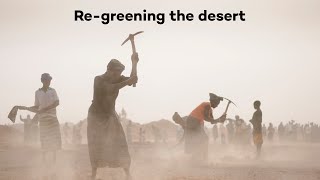 Turning the desert green in Burkina Faso [upl. by Ettereve]