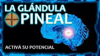 LA GLÁNDULA PINEAL  Activala y desatá todo tu potencial ⚡ [upl. by Virginia]