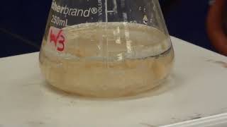 Synthesis of Acetanilide [upl. by Salakcin]