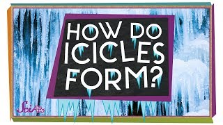 Where Do Icicles Come From  Winter Science  SciShow Kids [upl. by Barabas]