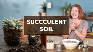 DIY SUCCULENT SOIL MIX amp what to look for in premade mixes [upl. by Fries]