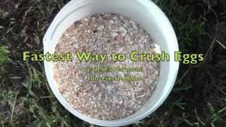 Fastest Way to Crush Egg Shells [upl. by Asselem]