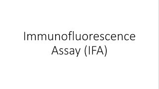 Immunofluorescence Assay IFA  Immunology [upl. by Eilerua]