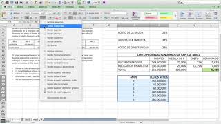 Evaluación Financiera de Proyectos [upl. by Isaak]