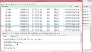 Investigating Network Loops [upl. by Mears888]