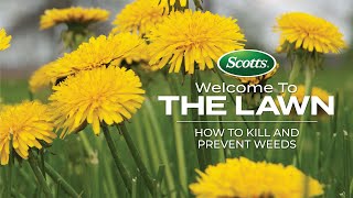 Welcome To The Lawn How to Kill and Prevent Weeds [upl. by Wellington]