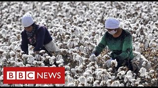 Nike and HampM face China backlash after warning of Uighur forced labour in cotton industry  BBC News [upl. by Ianej]