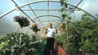 Automatic Irrigation inside a Polytunnel  V64 [upl. by Geanine]