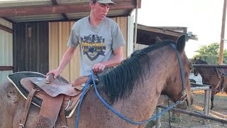 Horse Training  First Ride First Mount [upl. by Volding]