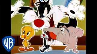 Looney Tunes  Catching Tweety  Classic Cartoon Compilation  WB Kids [upl. by Lamrert]