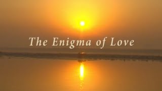 The Enigma of Love English  RSSB [upl. by Taimi]