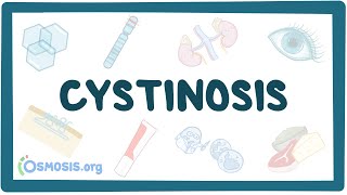 Cystinosis  causes symptoms diagnosis treatment pathology [upl. by Hairehcaz]