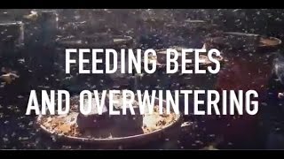 Feeding Bees and Overwintering [upl. by Amliw]