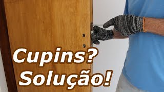 Cupins na Porta Aprenda a Evitar [upl. by Dincolo]