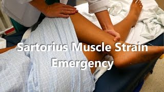 Sartorius Muscle Strain Emergency [upl. by Ehrenberg962]