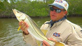 Snook Fishing in the Backcountry Canals of Chokoloskee Florida [upl. by Nodal303]