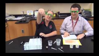 Enzyme lab introduction [upl. by Ettezyl301]