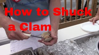 How to Shuck Open A Little Neck Clam Traditional Shuck A Cherrystone Clam Shucking [upl. by Andrei]