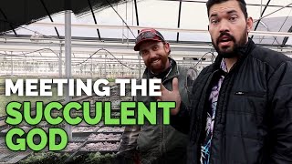 Secret Succulent Care Tips From a Master Succulent Grower [upl. by Luapnaes]