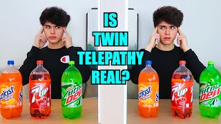 REAL TWIN TELEPATHY TEST [upl. by Attenohs]