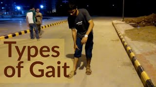 TYPES OF GAIT [upl. by Aninahs595]