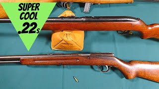 BIZARRE 22 Rifles That Youve NEVER Seen [upl. by Ressay804]