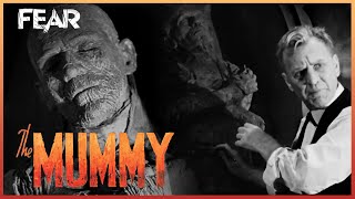 The Curse Of Imhotep Is Revealed  The Mummy 1932 [upl. by Leinehtan]