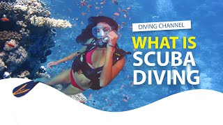 What is Scuba Diving [upl. by Materi]