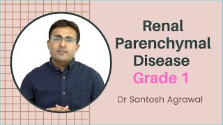 Renal Parenchymal Disease Grade 1 I Causes and treatment I Grade 1 Kidney Failure [upl. by Rebma919]