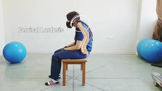 Proprioceptive Neuromuscular Facilitation PNF in Sitting Position [upl. by Nannoc]