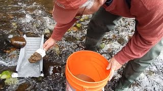 S2E14 Washington State Gold Mining  Small Creek Prospecting wth Pete [upl. by Oran746]