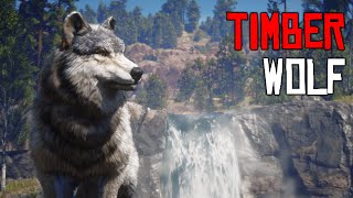 Red Dead Online  Timber Wolf Location  RDR2 [upl. by Suolkcin112]