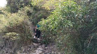 SHEUNG LOK STREAM SAI WAN VILLAGE [upl. by Kinnard948]