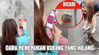 CARA MENEMUKAN KUCING YANG HILANG [upl. by Airdnola]