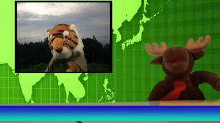 International Weather Report  Simple Skits [upl. by Adebayo731]