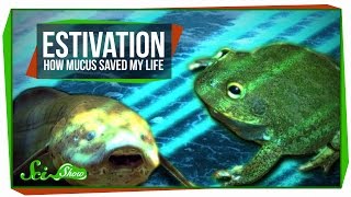 Estivation How Mucus Saved My Life [upl. by Lorrac]