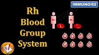 What happens to donated blood [upl. by Vevine]