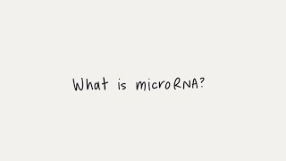 What is microRNA miRNA [upl. by Augy]