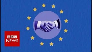 What is the EU customs union  BBC News [upl. by Naitsabas77]