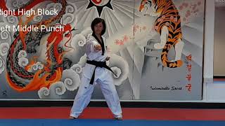 10 Basic Movements in Taekwondo  Beginners [upl. by Nissy]