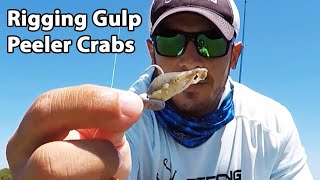 How to Rig Gulp Peeler Crabs For Redfish amp Black Drum [upl. by Nwahsyd111]