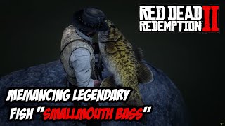 RDR2  TIPS RDR2  MEMANCING LEGENDARY FISH quotSMALLMOUTH BASSquot [upl. by Atiran]