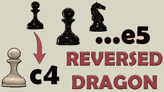 English Opening Reversed Dragon Variation Chess Openings [upl. by Hidie]