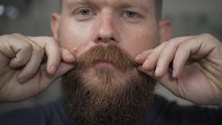 Beard Trim Update 4 Month Beard Growth [upl. by Joashus]