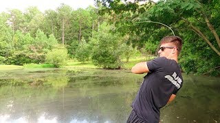 How To Fish Small Ponds  Bass Fishing Tips [upl. by Vedette]