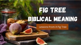 Figs in the Bible 9 Meanings Explained  From Shame Genesis to Blessings Revelation [upl. by Notnroht577]