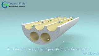 Crossflow Filtration of Ceramic Membrane [upl. by Esiouqrut]